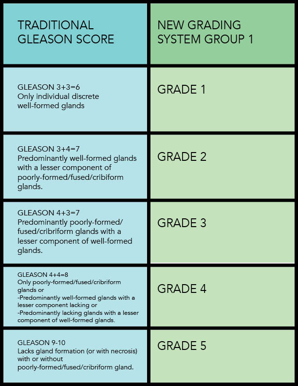 Gleason Score 7 Survival Rate: What the Numbers Really Mean